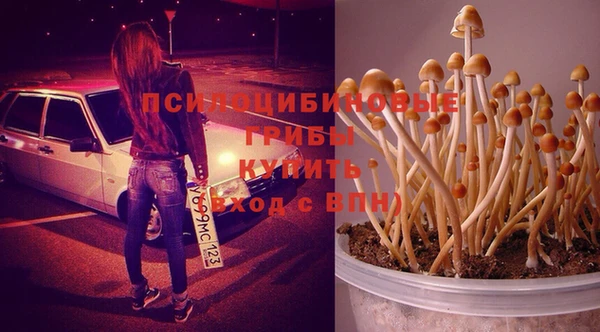 гашиш Козельск